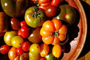Photo of tomato varieties from Pixabay