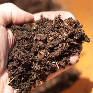 Rich garden soil with plenty of organic and inorganic material
